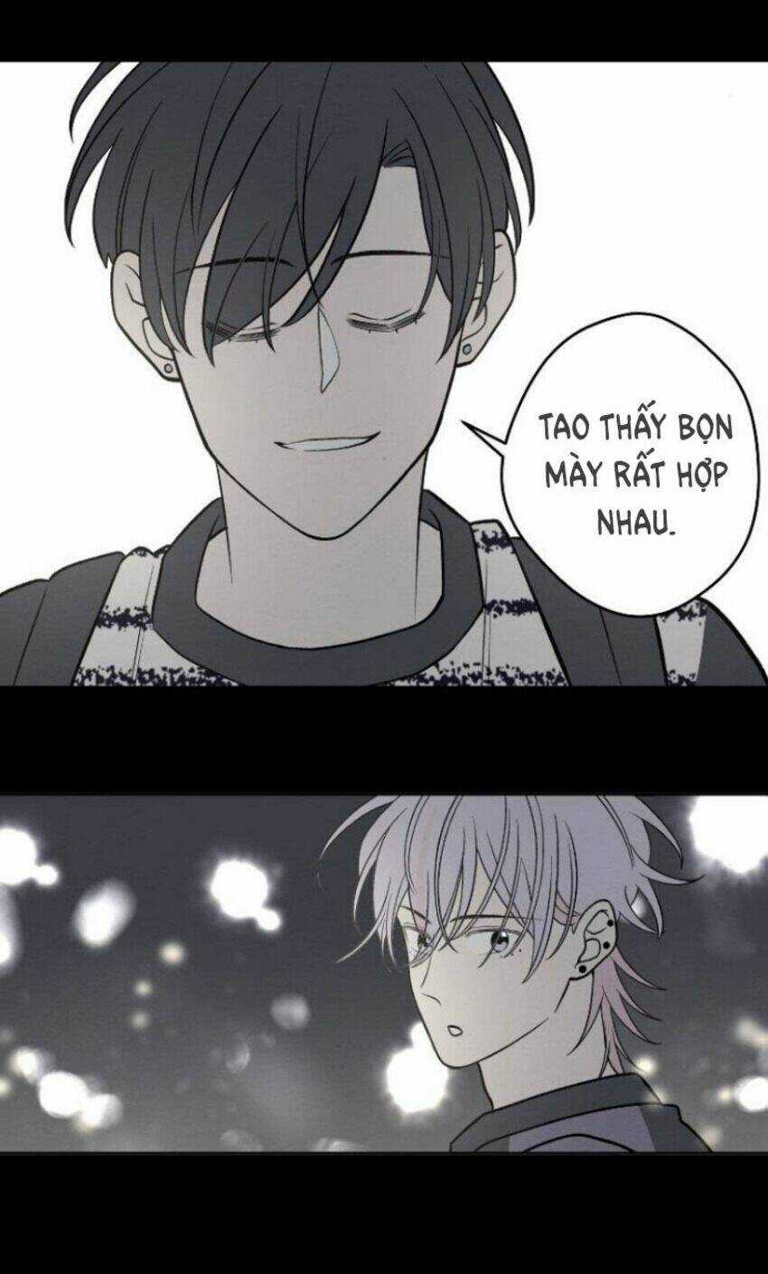 Nice To Meet You Chapter 64 trang 8