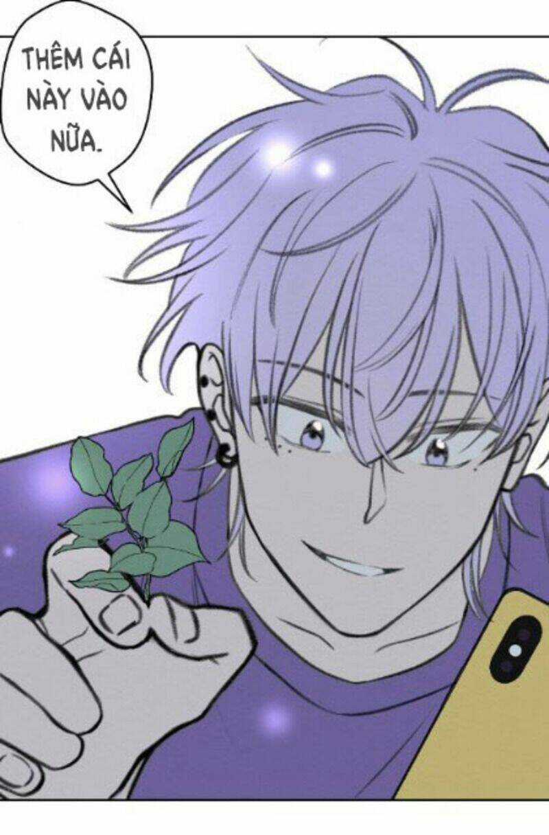 Nice To Meet You Chapter 65 trang 15