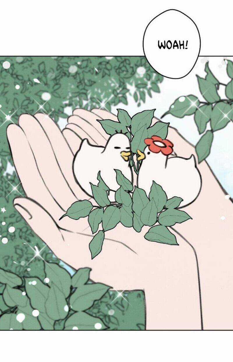 Nice To Meet You Chapter 65 trang 24