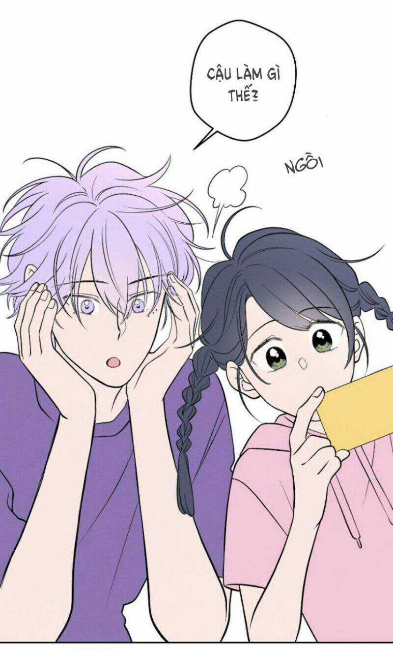 Nice To Meet You Chapter 65 trang 3