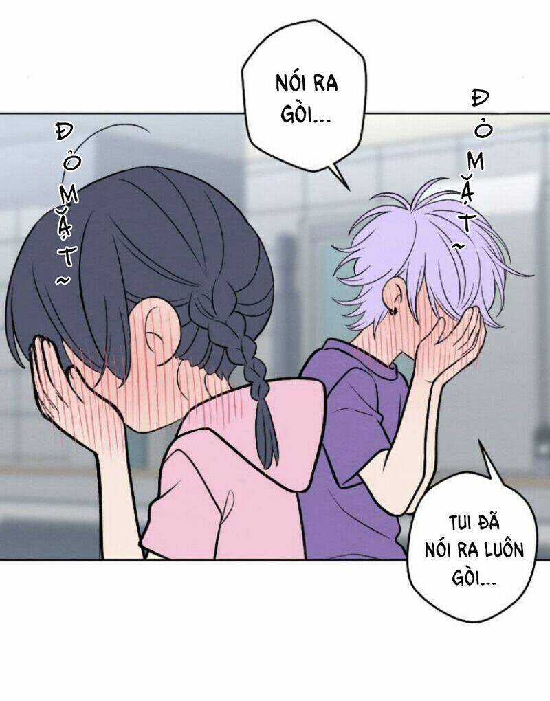 Nice To Meet You Chapter 66 trang 11