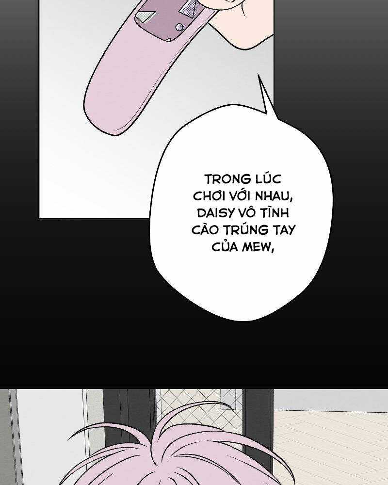 Nice To Meet You Chapter 67 trang 85