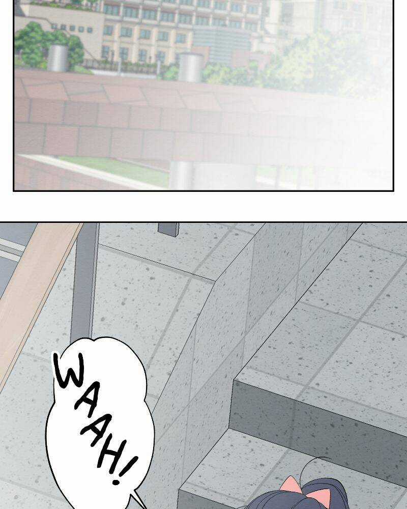 Nice To Meet You Chapter 68 trang 2