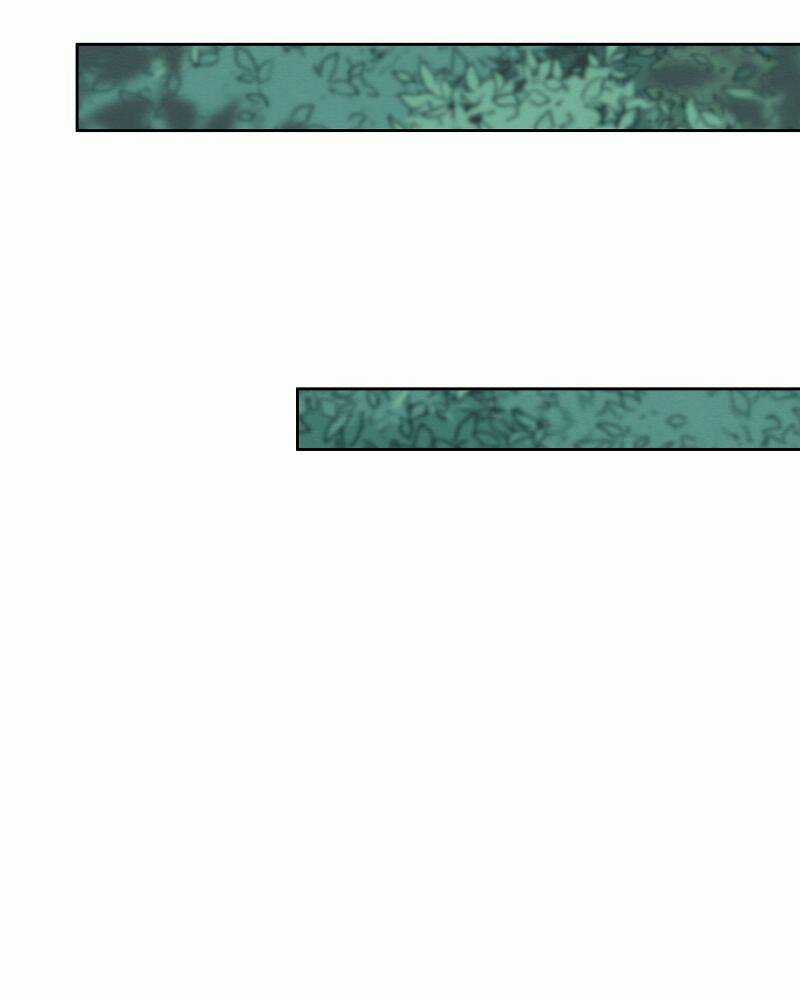 Nice To Meet You Chapter 69 trang 53