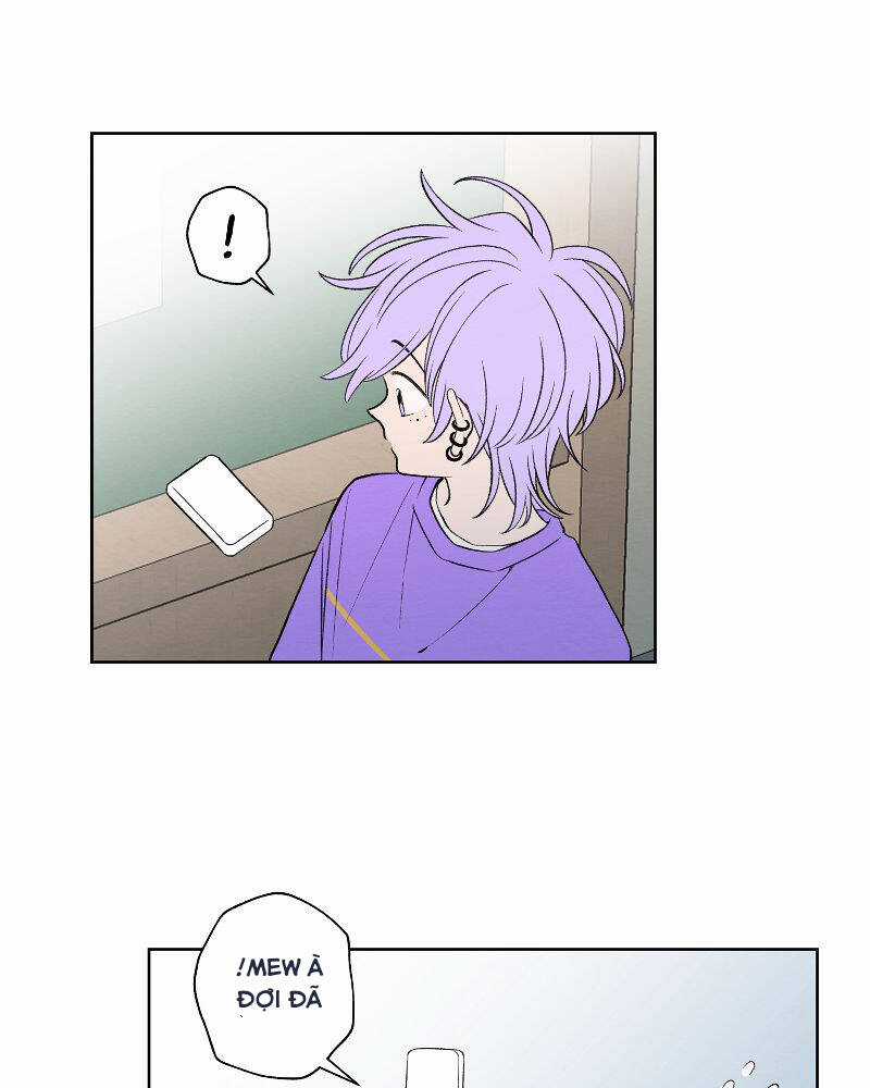 Nice To Meet You Chapter 70 trang 64