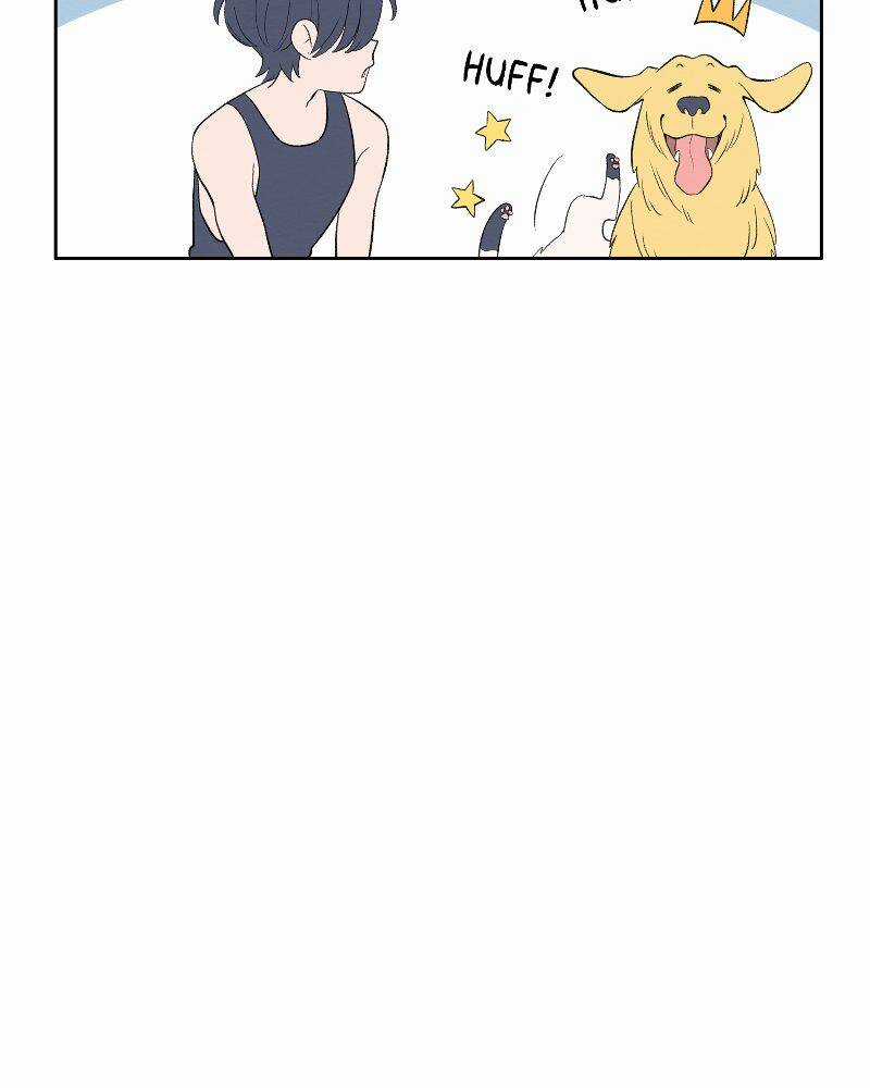 Nice To Meet You Chapter 71 trang 35