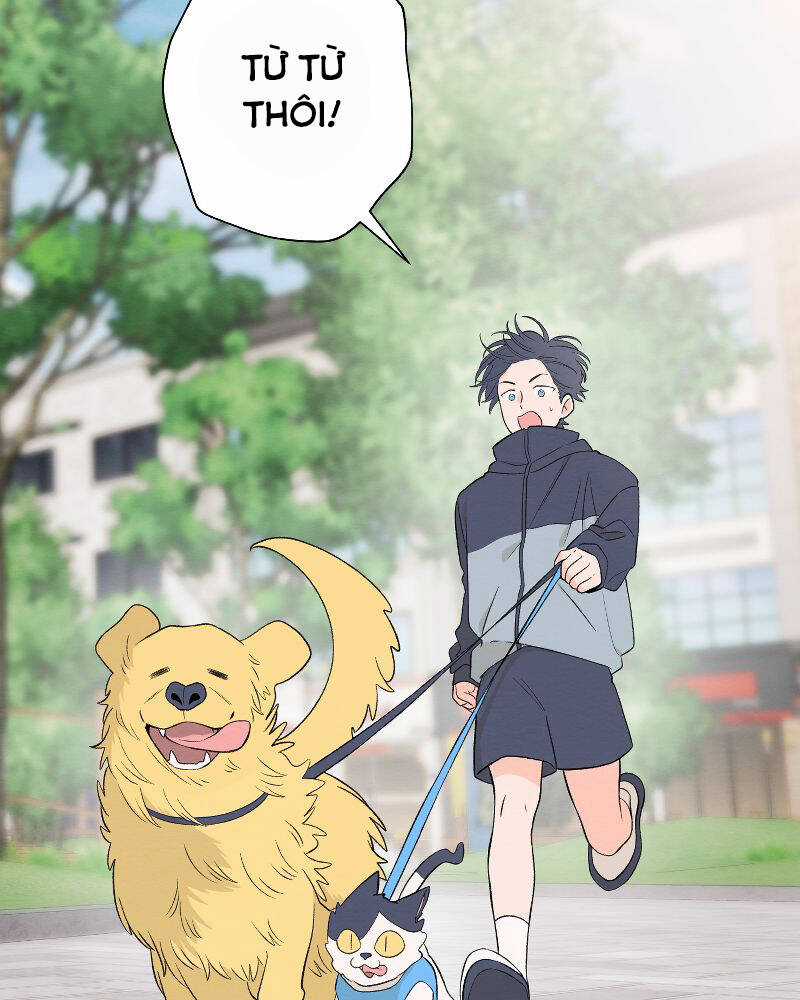 Nice To Meet You Chapter 71 trang 39