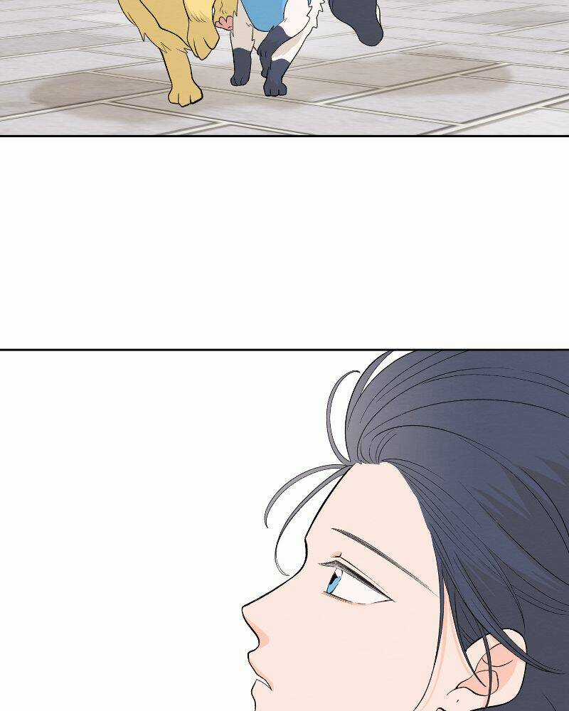 Nice To Meet You Chapter 71 trang 40