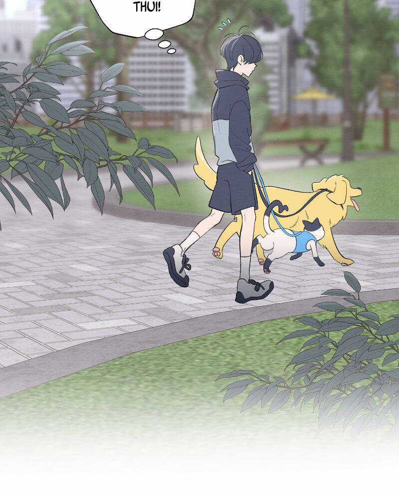 Nice To Meet You Chapter 71 trang 53