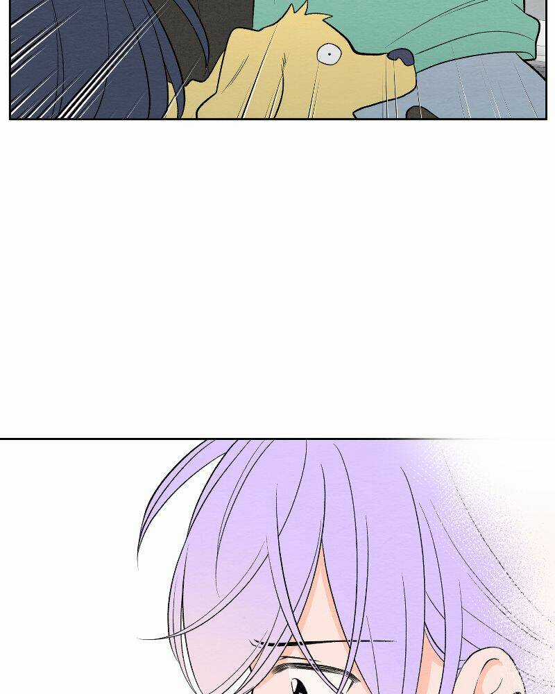 Nice To Meet You Chapter 72 trang 11