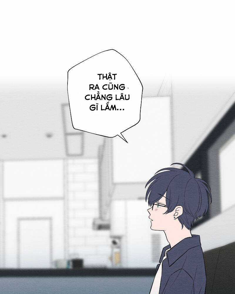 Nice To Meet You Chapter 72 trang 20