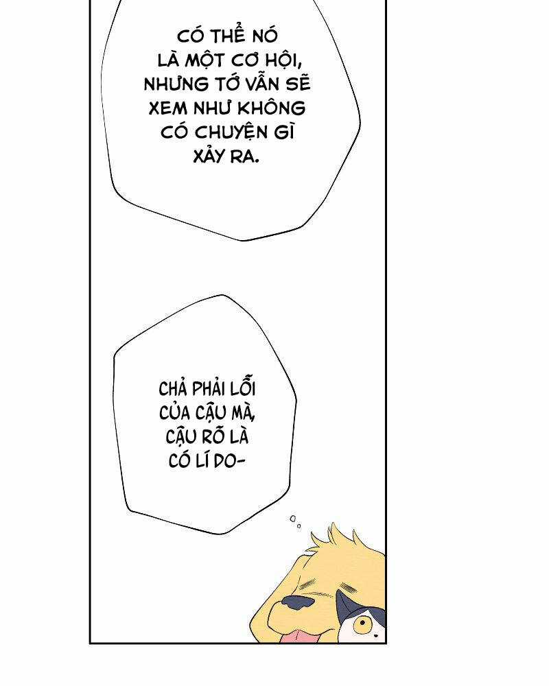 Nice To Meet You Chapter 72 trang 32