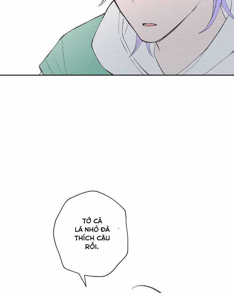 Nice To Meet You Chapter 72 trang 67