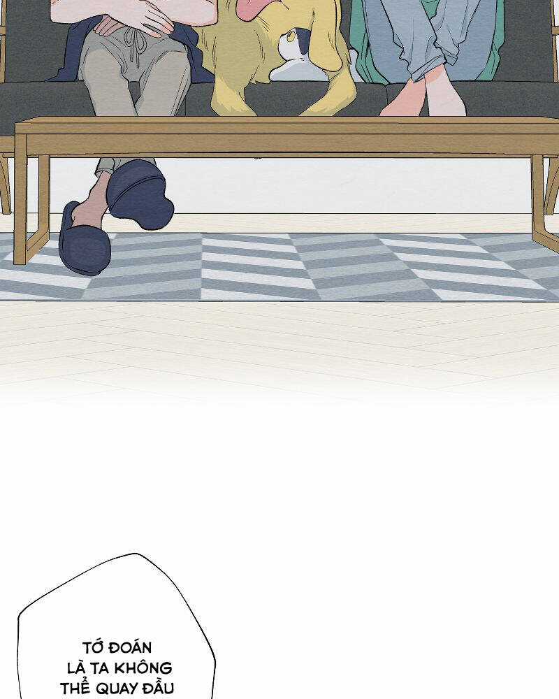 Nice To Meet You Chapter 72 trang 7