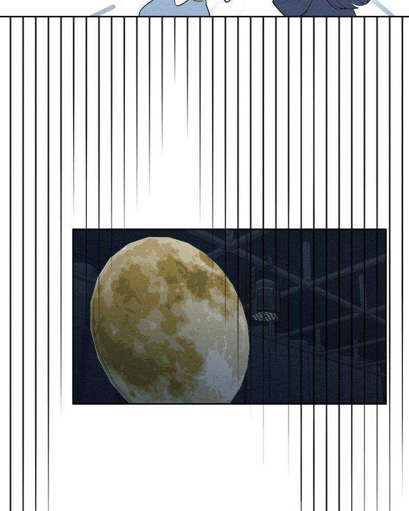 Nice To Meet You Chapter 73 trang 49