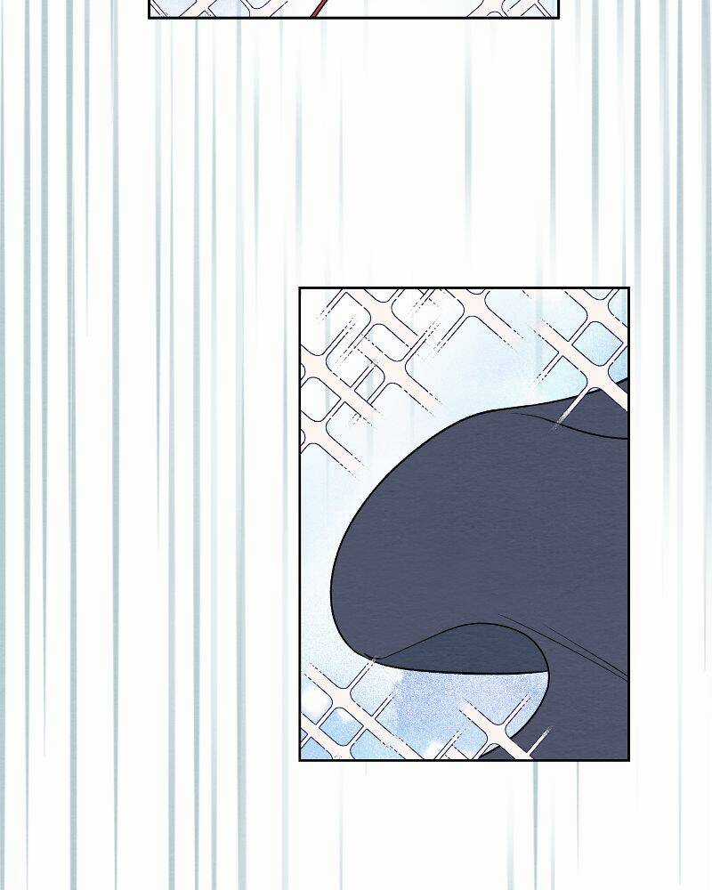 Nice To Meet You Chapter 73 trang 63