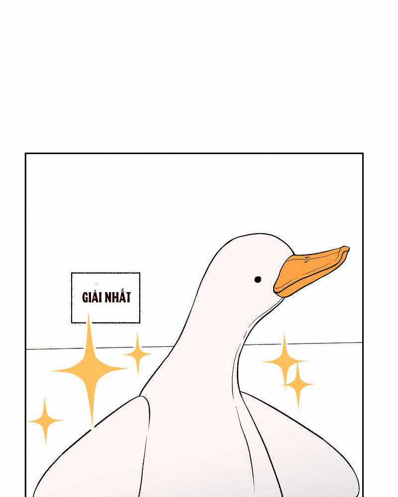 Nice To Meet You Chapter 74 trang 64