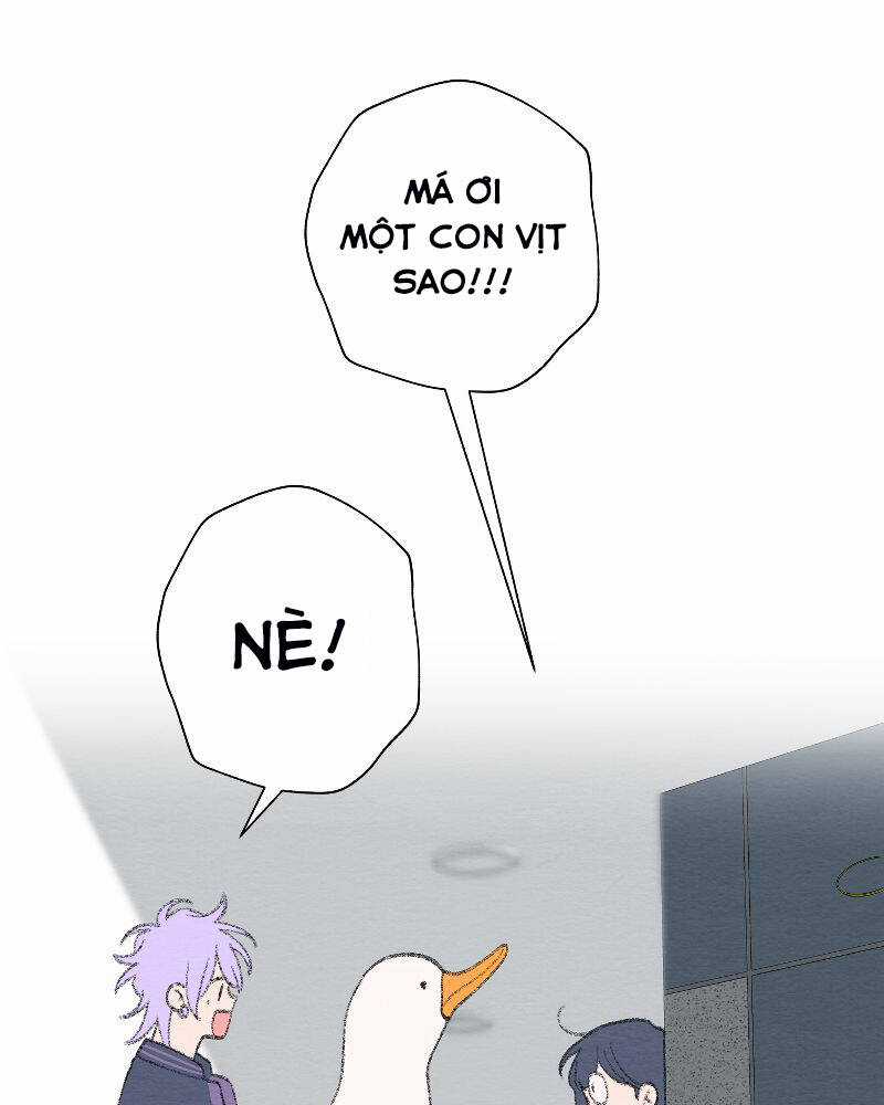 Nice To Meet You Chapter 76 trang 63