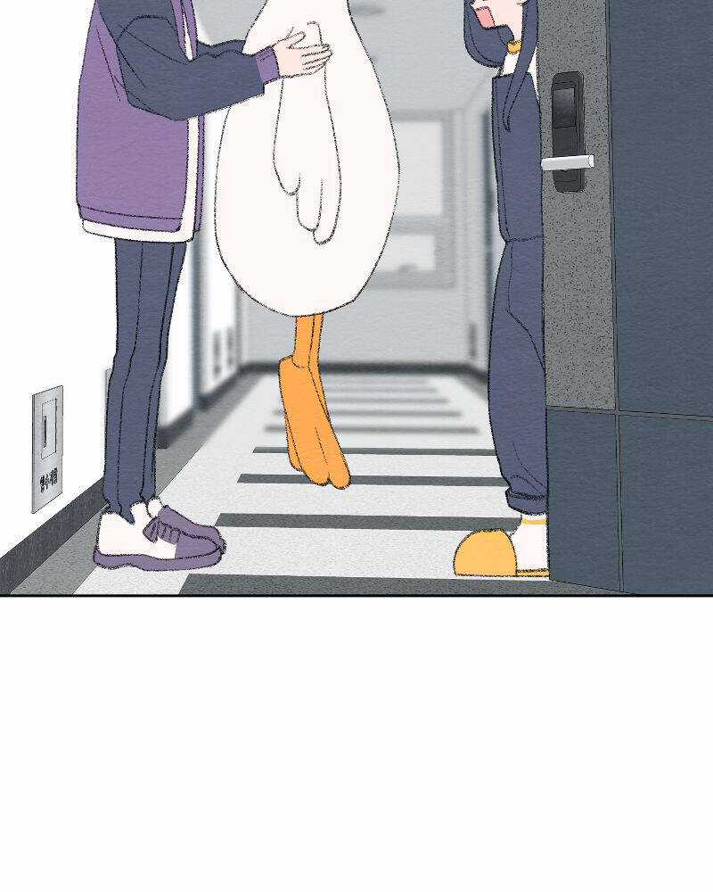 Nice To Meet You Chapter 76 trang 64