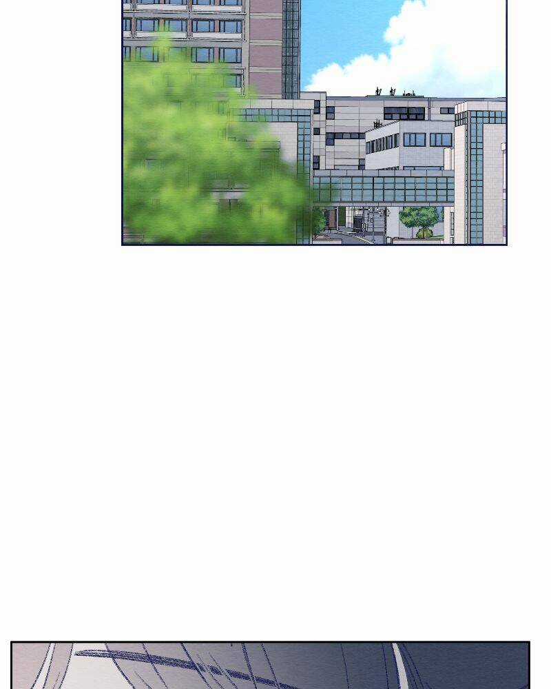 Nice To Meet You Chapter 77 trang 2