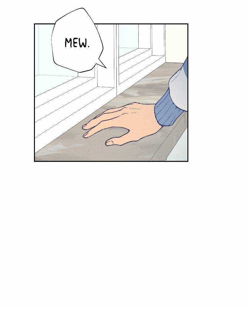 Nice To Meet You Chapter 77 trang 28