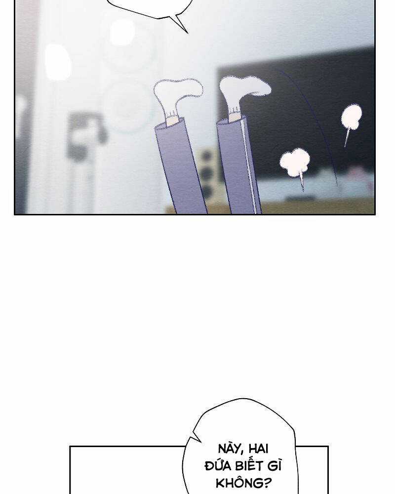 Nice To Meet You Chapter 77 trang 82