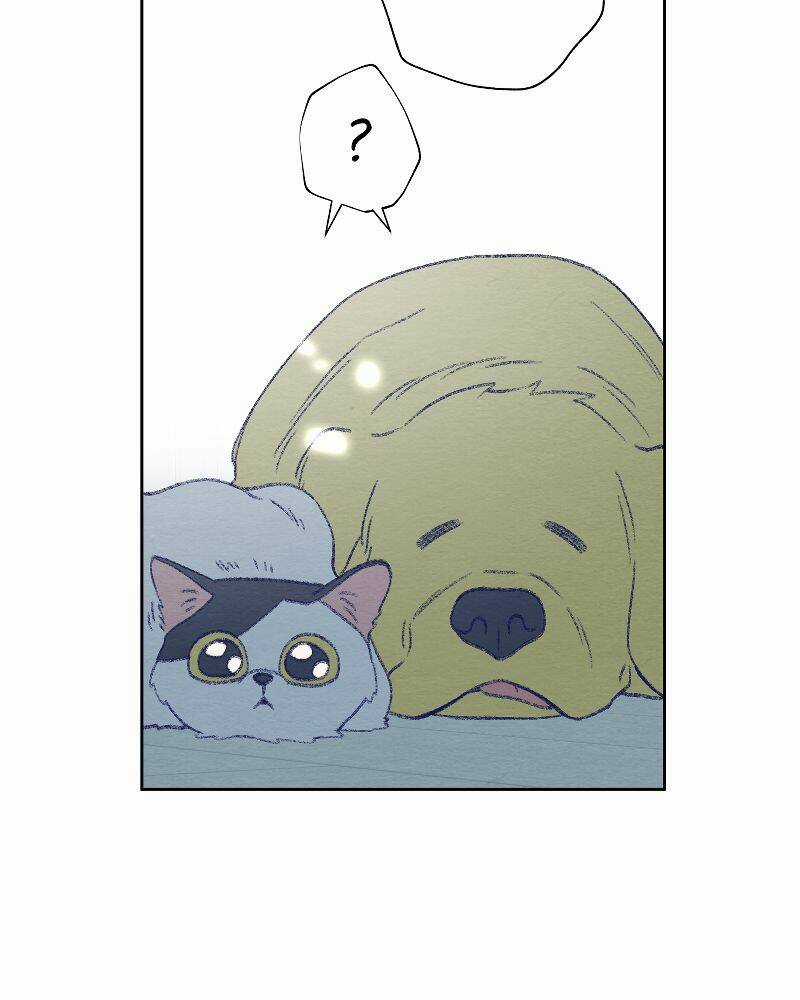 Nice To Meet You Chapter 77 trang 83