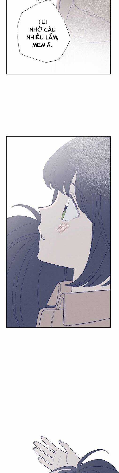 Nice To Meet You Chapter 78 trang 41