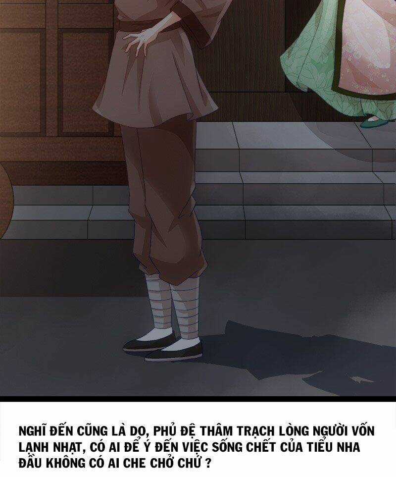 Niết Bàn Chi Phượng Nhan Lâm Ca Chapter 3 trang 11