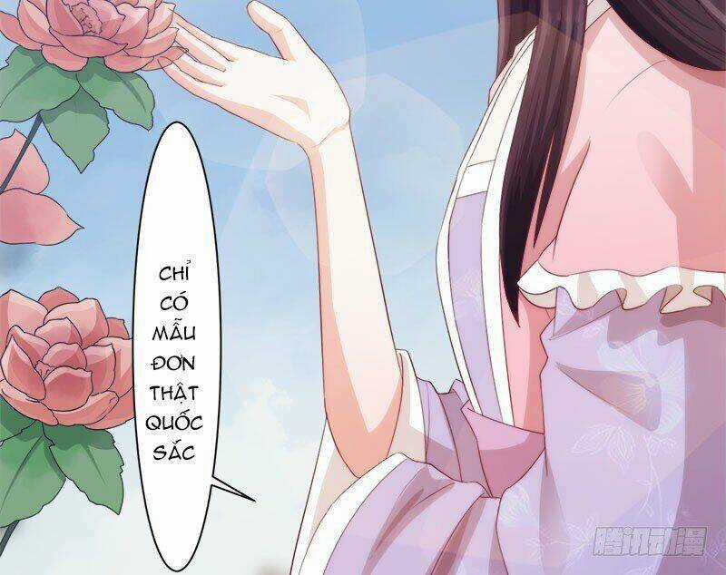 Niết Bàn Chi Phượng Nhan Lâm Ca Chapter 6 trang 37