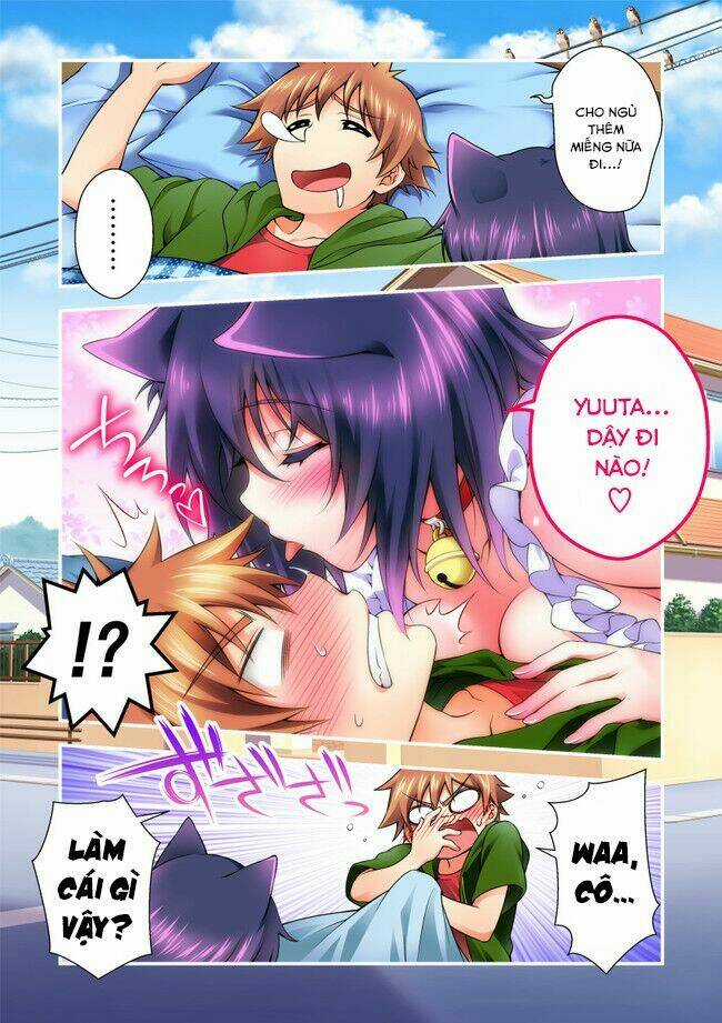 Nikukyuu Chapter 2 trang 19