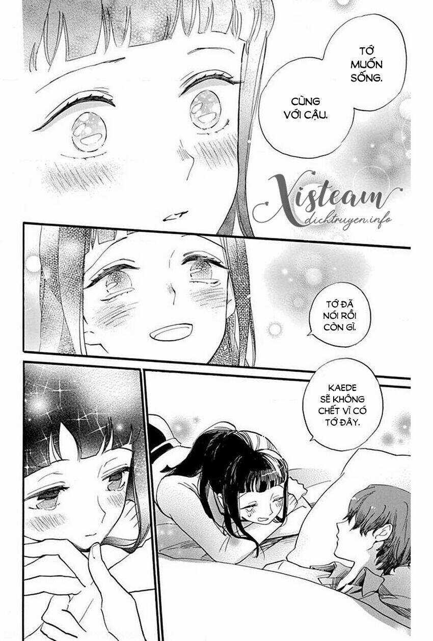 Nin Koi Chapter 29 trang 11