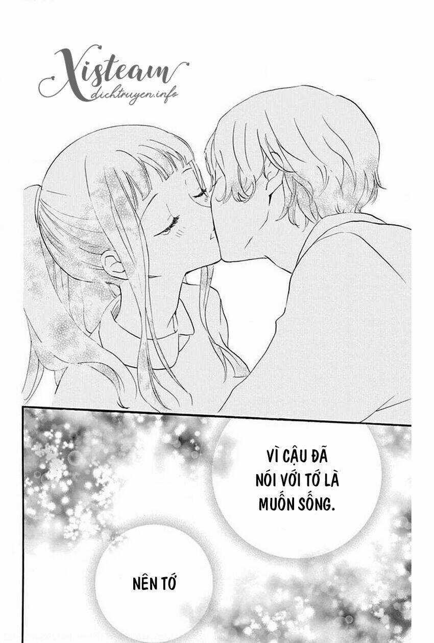 Nin Koi Chapter 29 trang 13