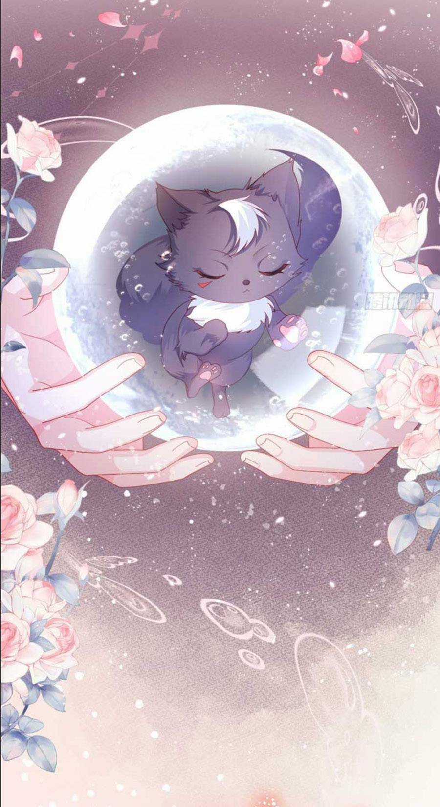 Ninita Yêu Dấu Chapter 0 trang 4