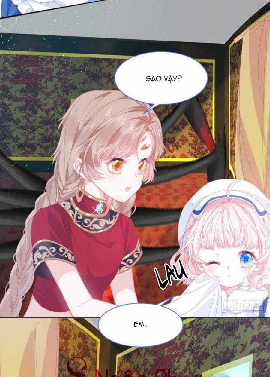 Ninita Yêu Dấu Chapter 1 trang 7