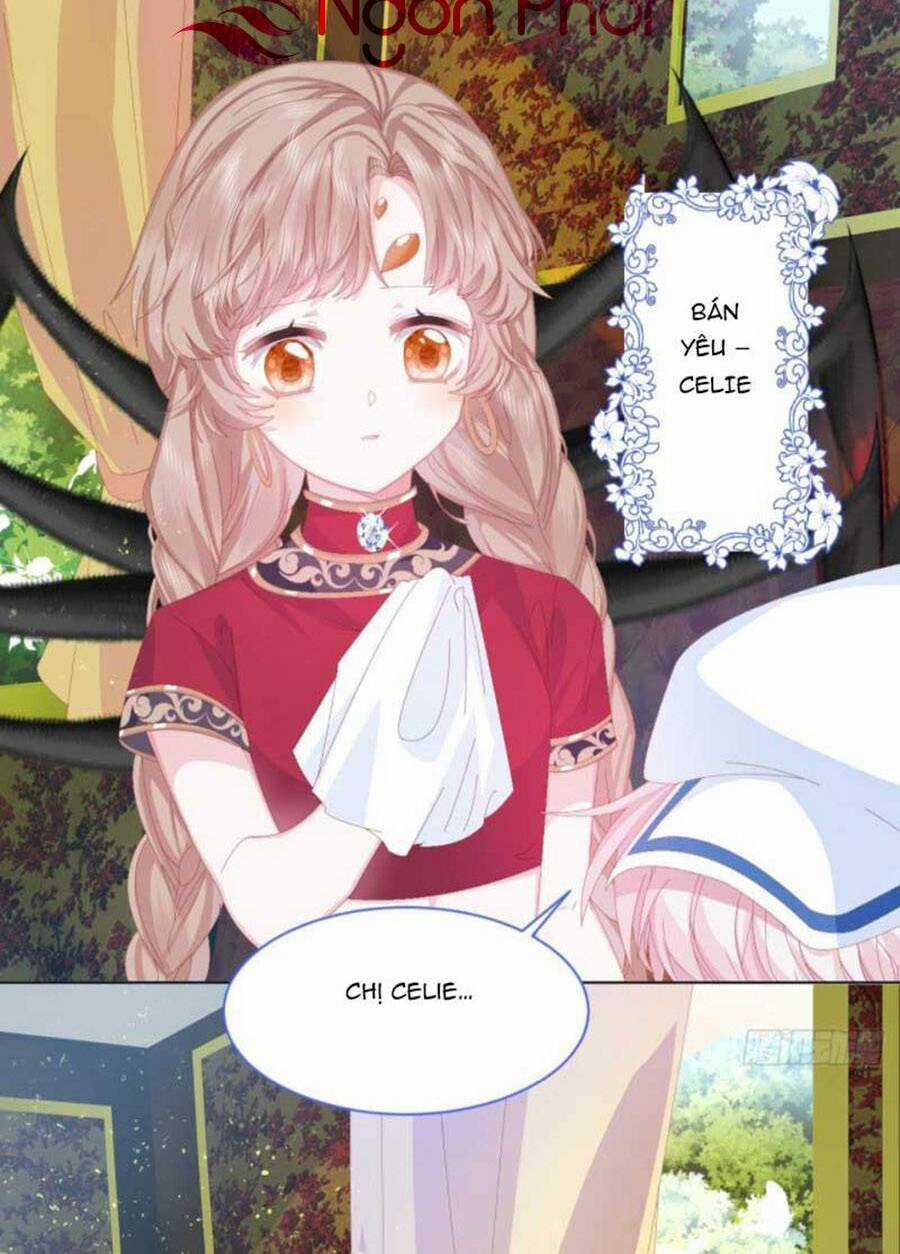 Ninita Yêu Dấu Chapter 1 trang 8