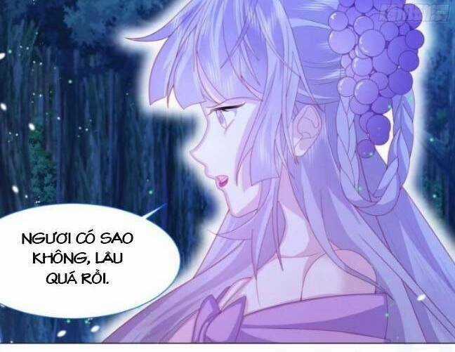 Ninita Yêu Dấu Chapter 11 trang 13