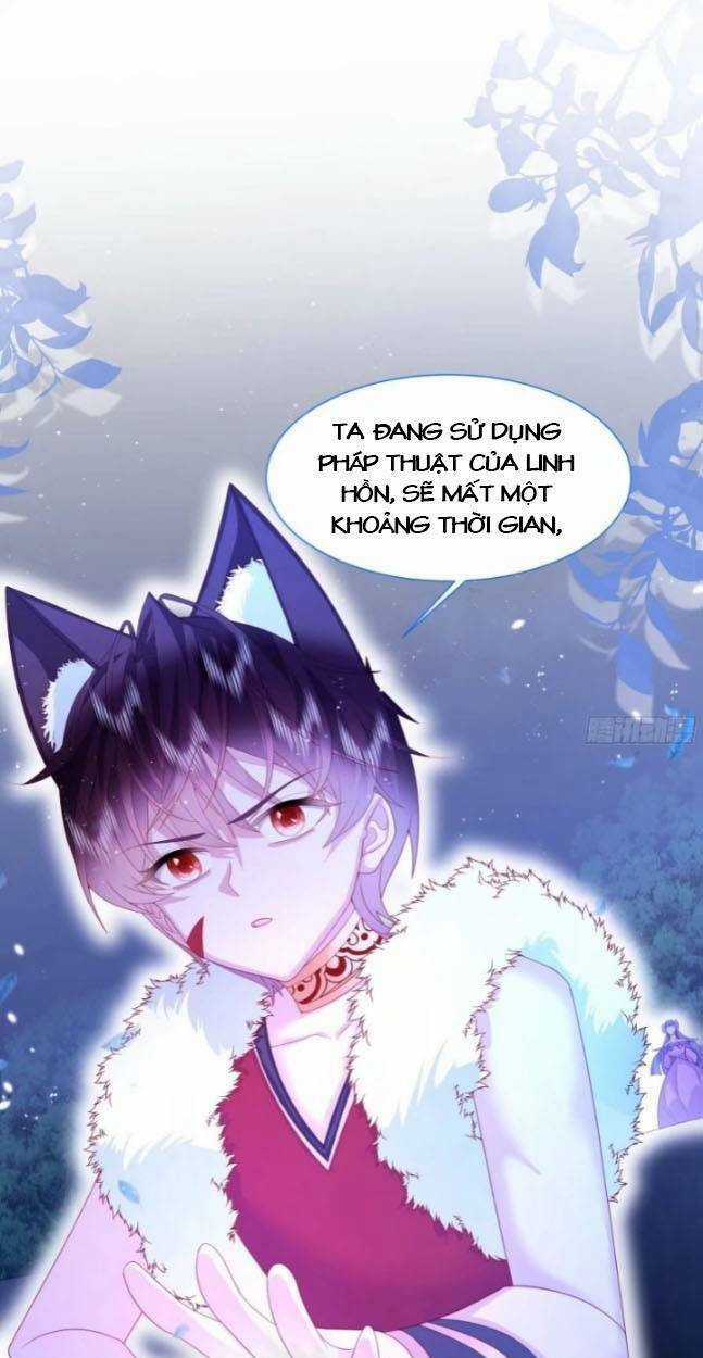 Ninita Yêu Dấu Chapter 11 trang 14