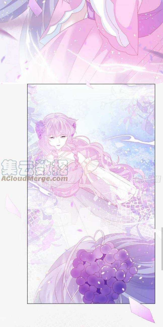 Ninita Yêu Dấu Chapter 14 trang 3