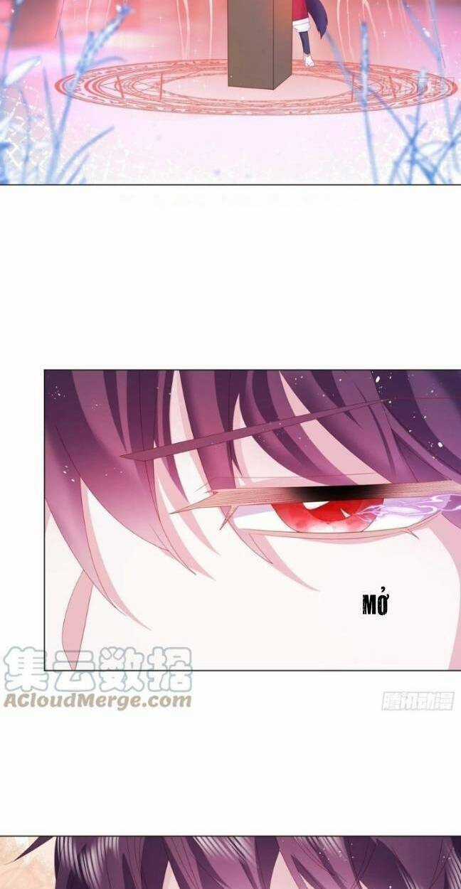 Ninita Yêu Dấu Chapter 15 trang 11