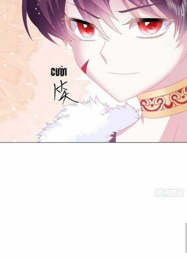 Ninita Yêu Dấu Chapter 15 trang 12