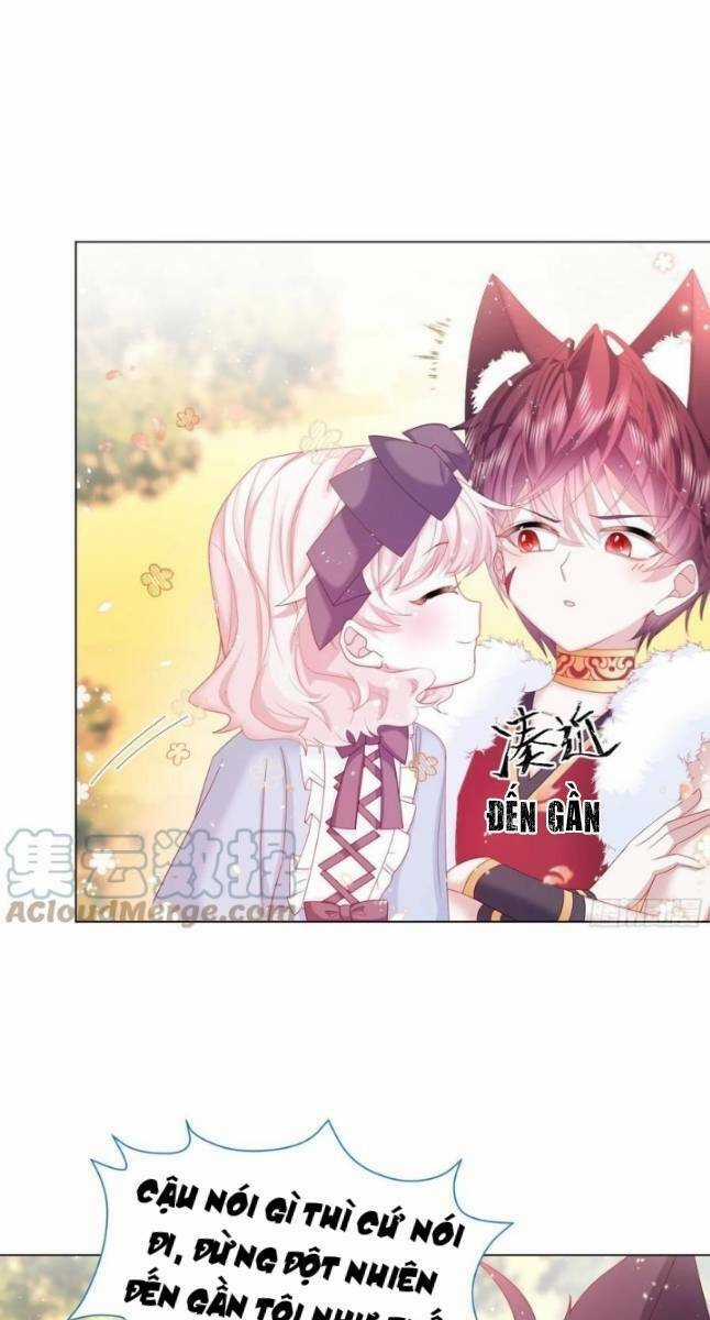 Ninita Yêu Dấu Chapter 15 trang 2