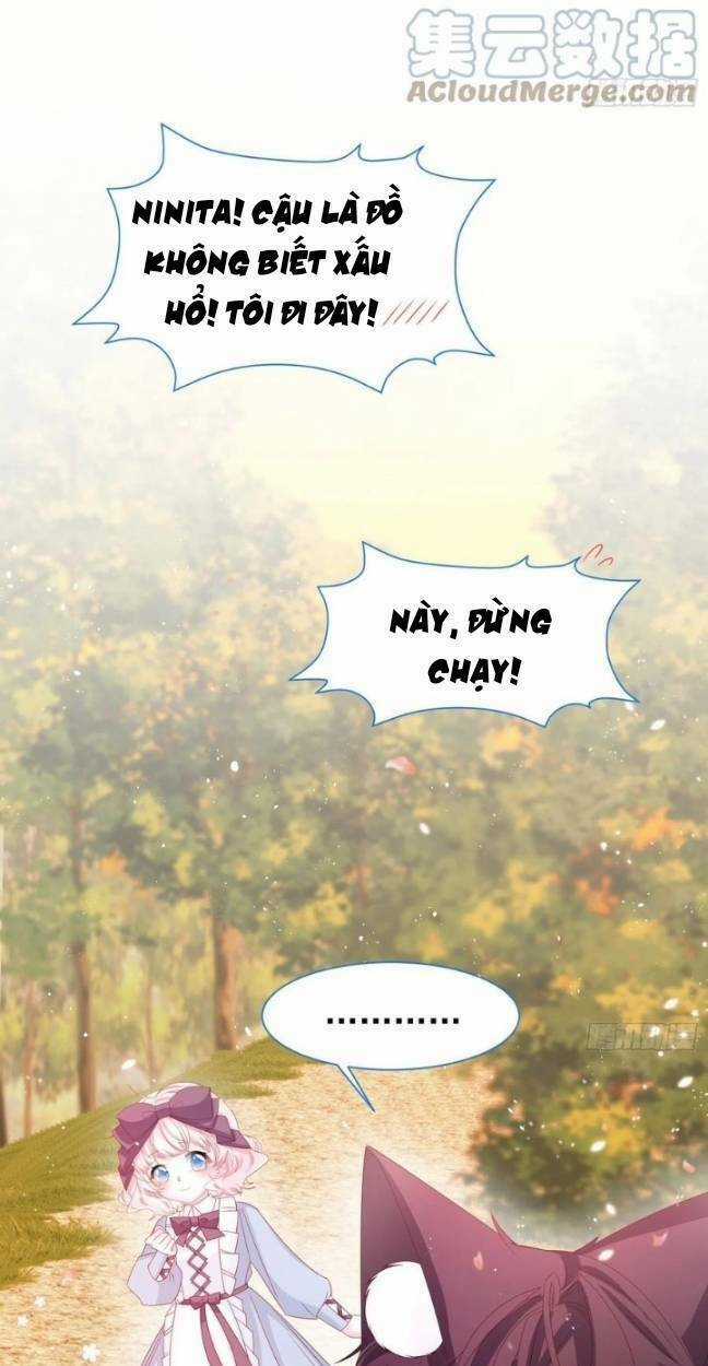 Ninita Yêu Dấu Chapter 15 trang 7