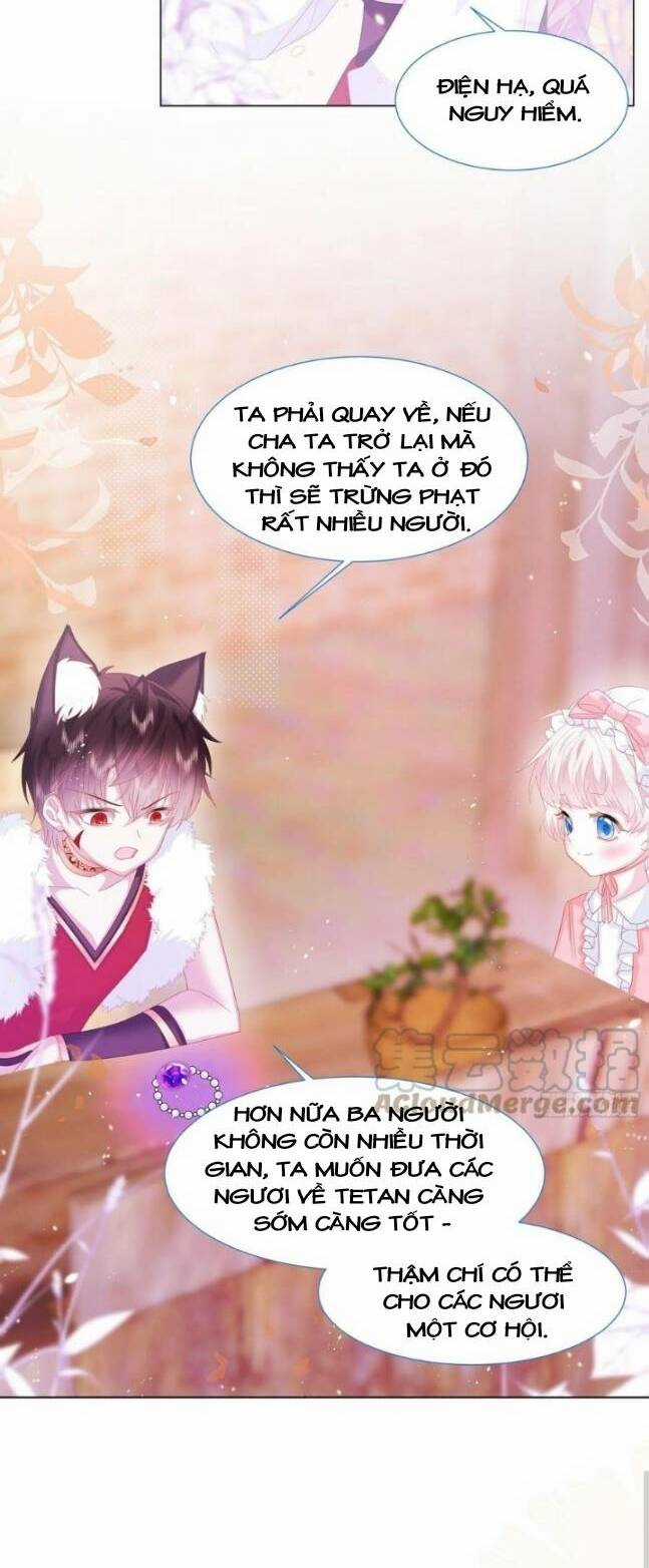 Ninita Yêu Dấu Chapter 16 trang 5