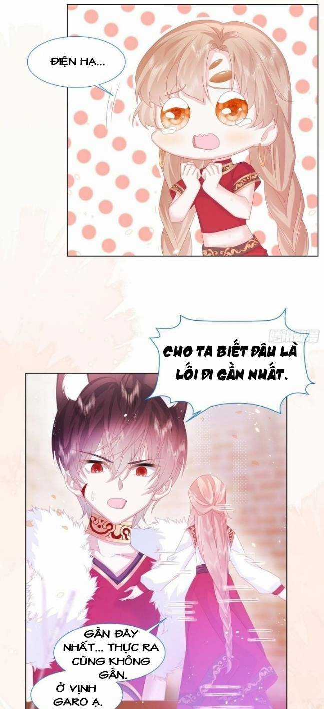 Ninita Yêu Dấu Chapter 16 trang 6