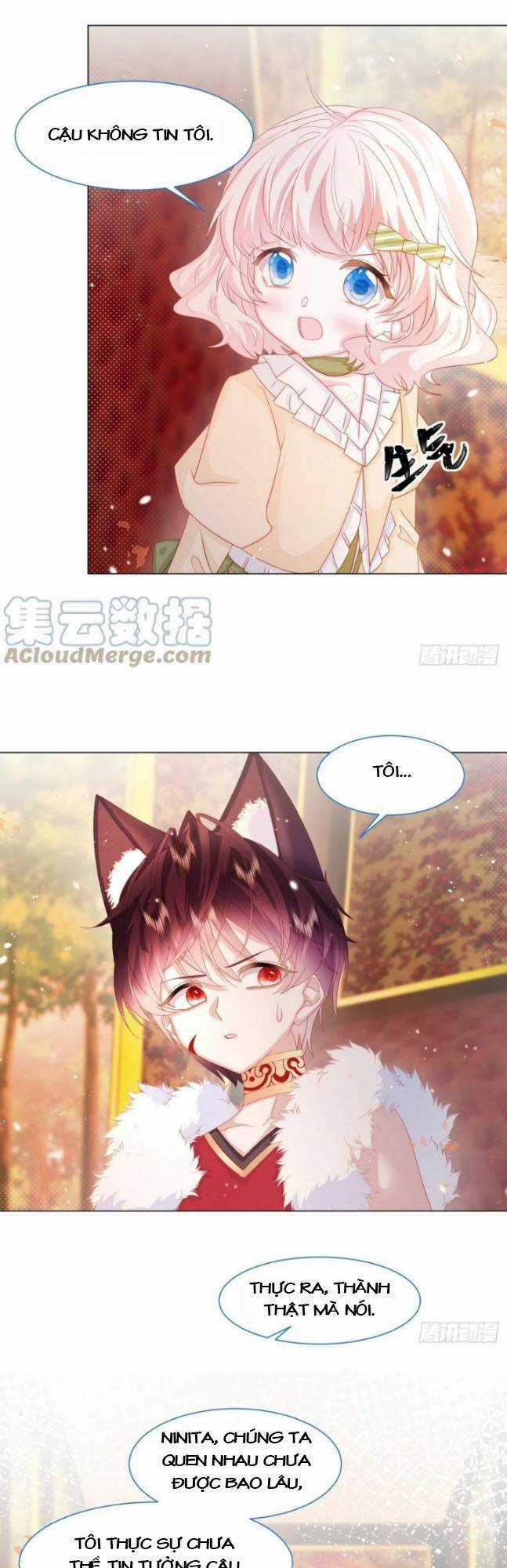 Ninita Yêu Dấu Chapter 17 trang 6