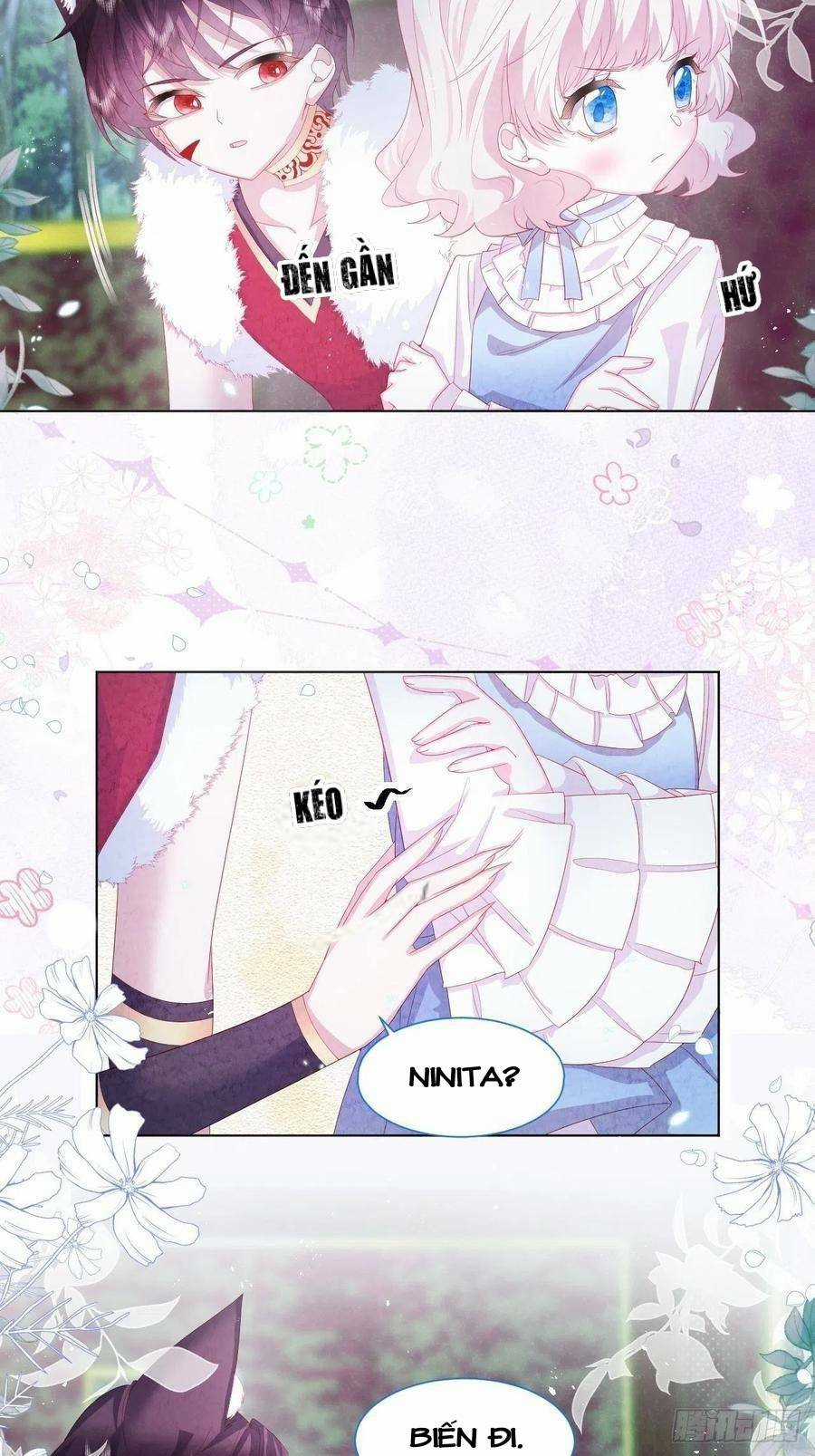 Ninita Yêu Dấu Chapter 19 trang 5