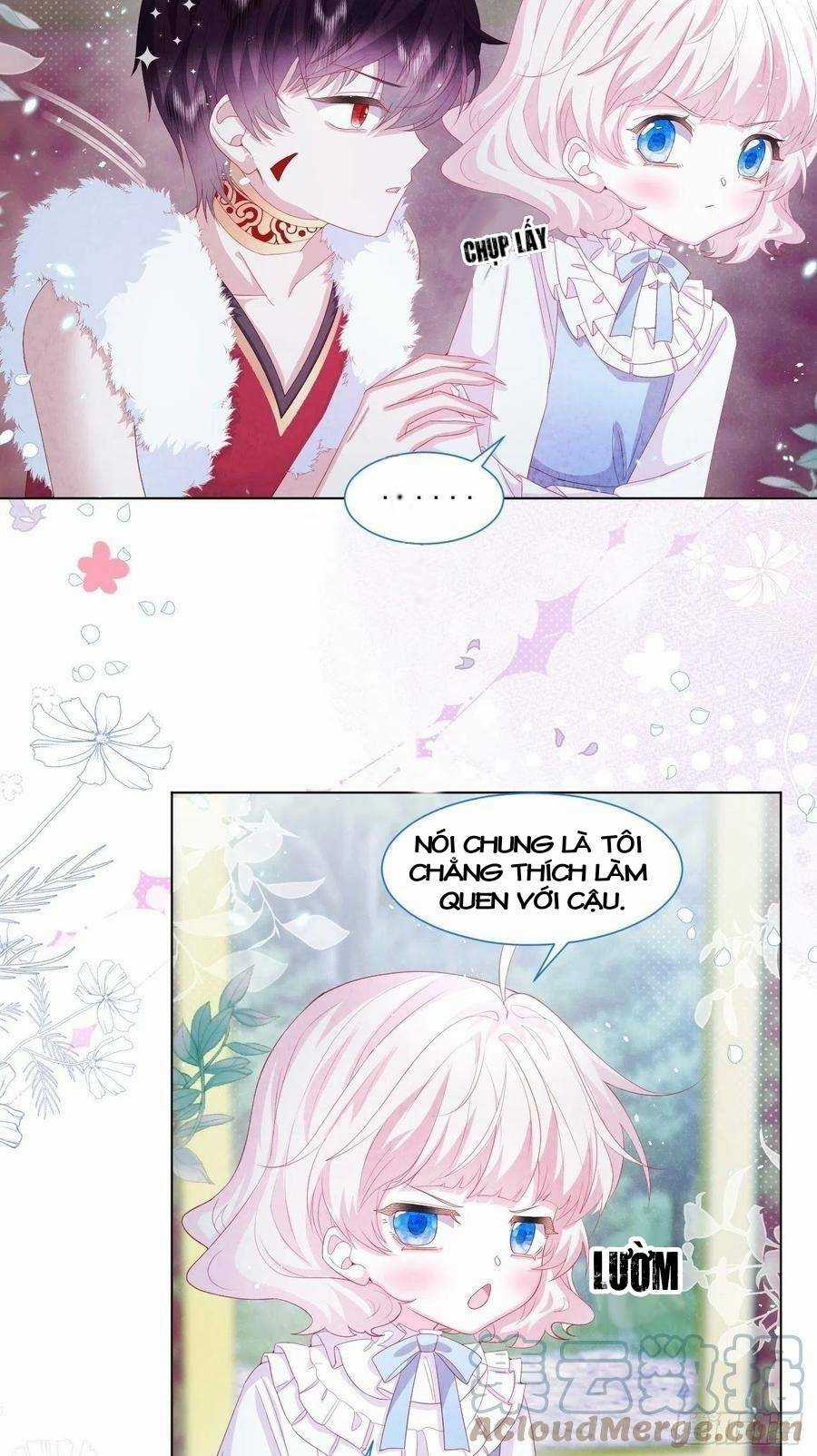 Ninita Yêu Dấu Chapter 19 trang 8