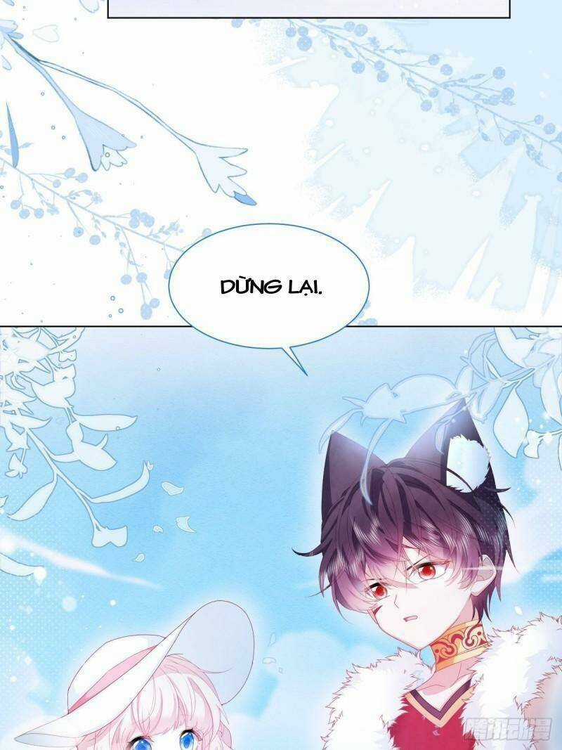 Ninita Yêu Dấu Chapter 22 trang 4