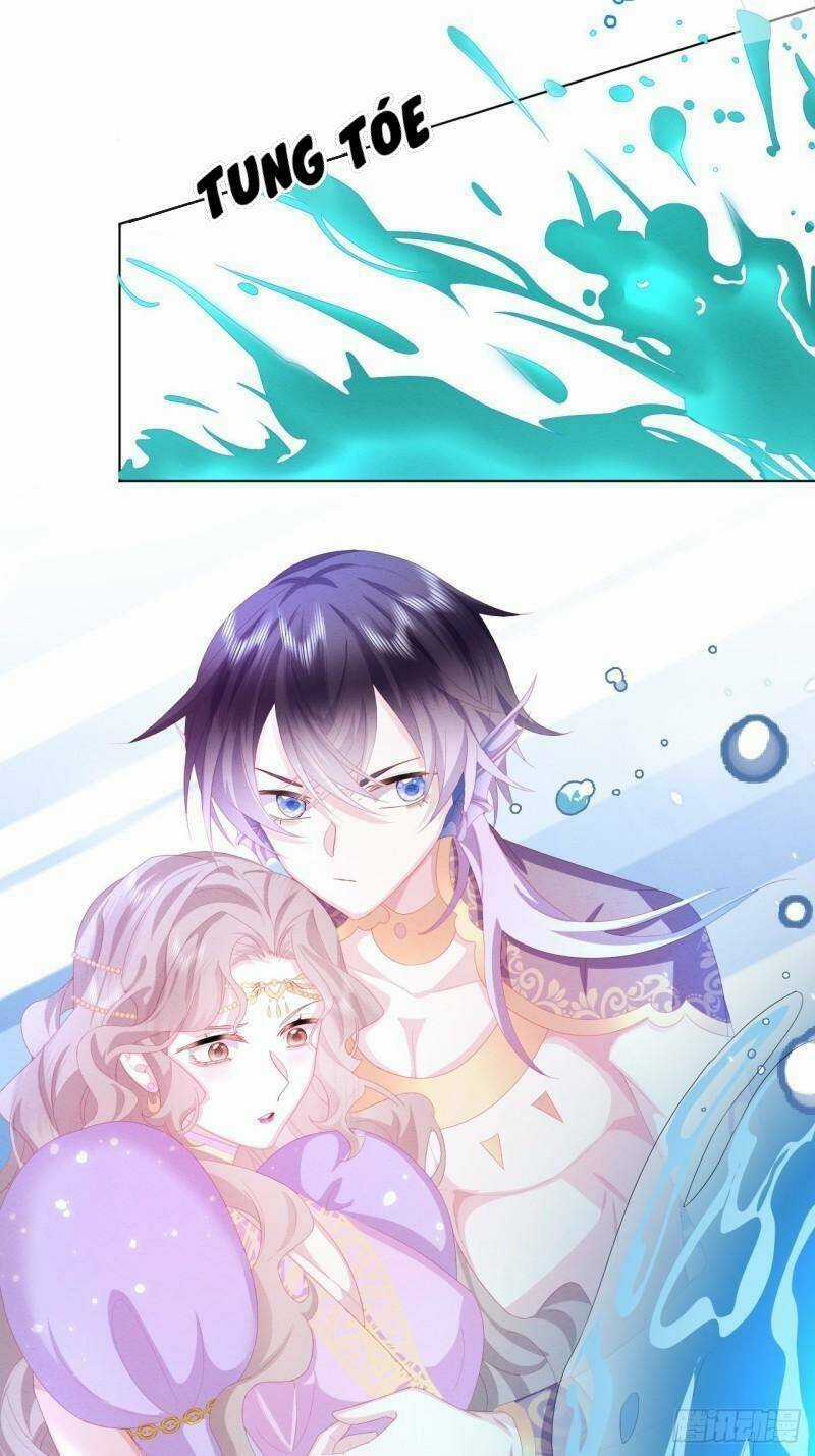 Ninita Yêu Dấu Chapter 25 trang 17
